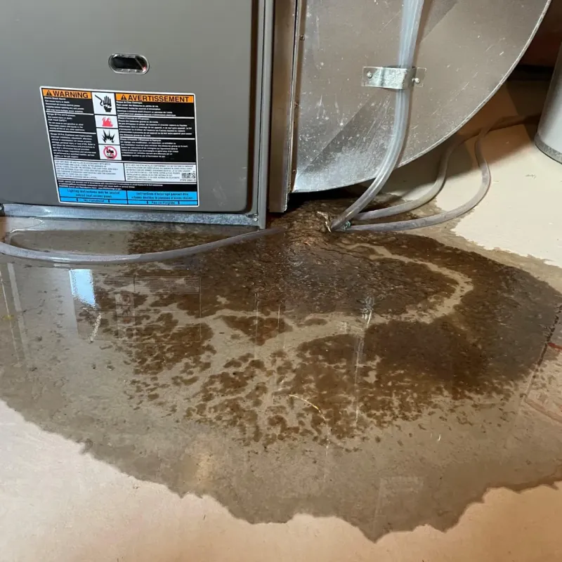 Appliance Leak Cleanup in Williamsport, IN