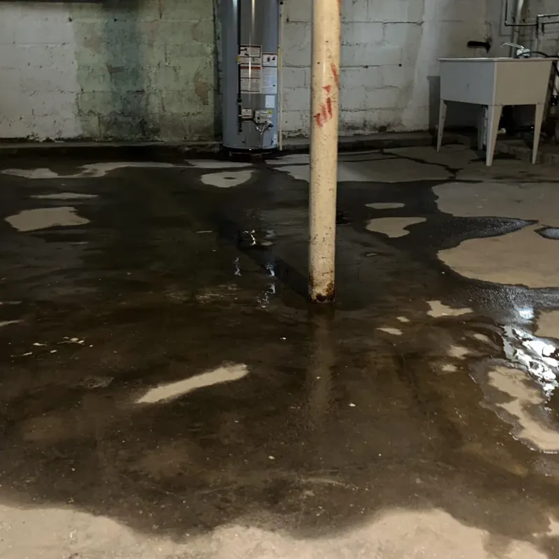 Emergency Water Extraction And Removal in Williamsport, IN